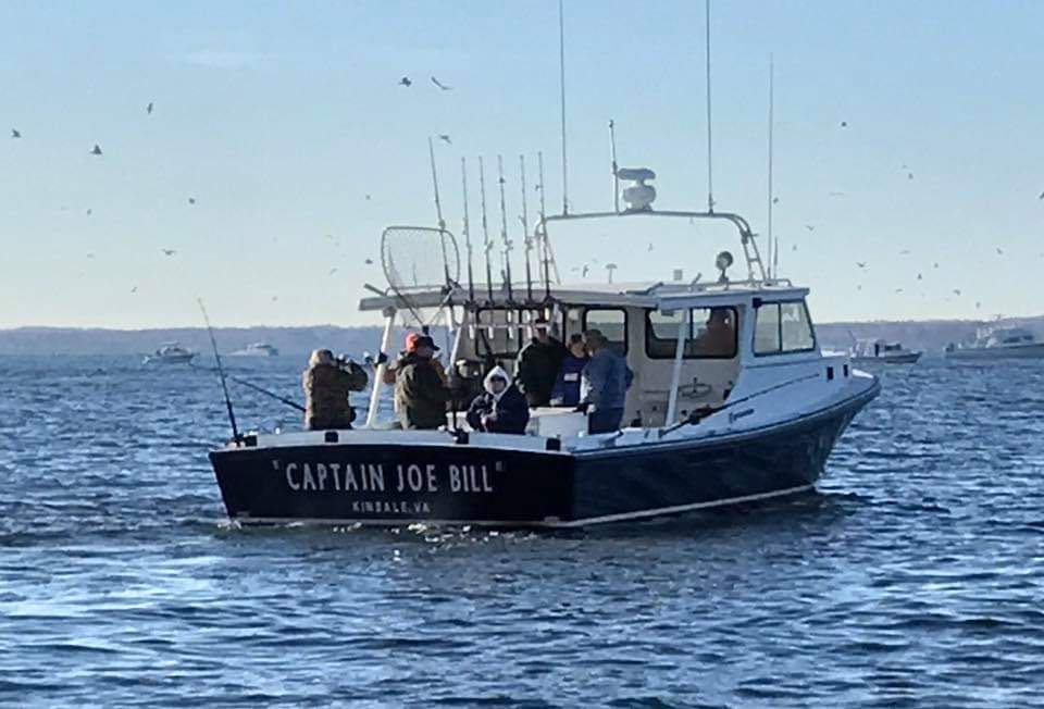Fishing boat with birds around it